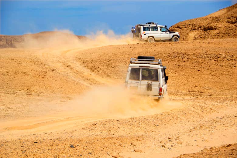 Tour en 4x4 + Paseo en camello + Cena con espectáculo en el desierto