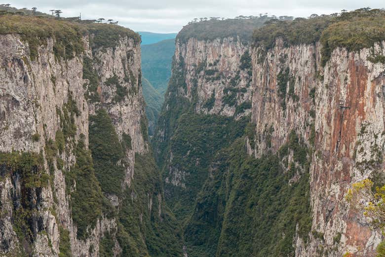 Excursión al cañón Itaimbezinho