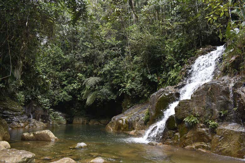 Trekking por el sendero El Tambo