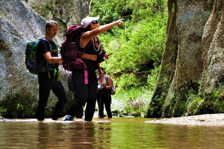 Ruta privada de trekking por Los Gigantes