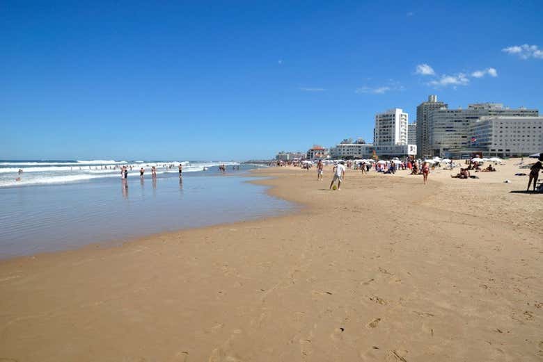 Traslado a Punta del Este desde Buenos Aires
