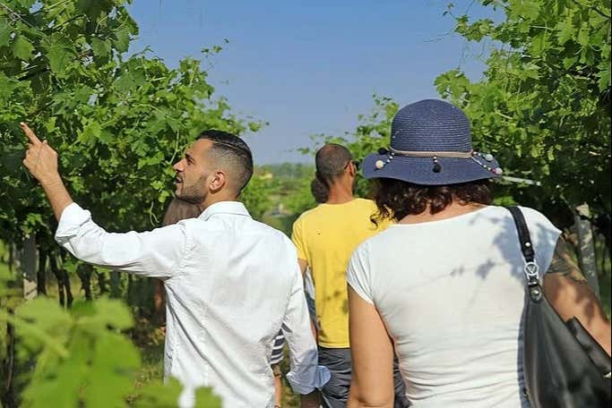 Visita a una granja biodinámica + Cata de vinos
