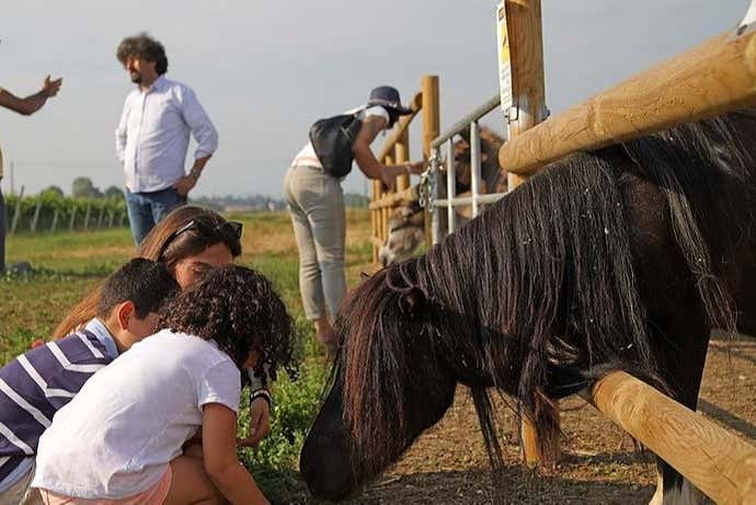 Visita a una granja biodinámica + Cata de vinos