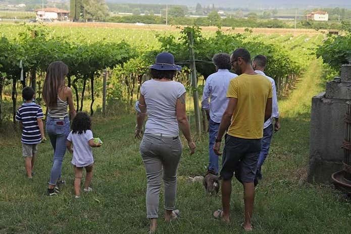Visita a una granja biodinámica + Cata de vinos