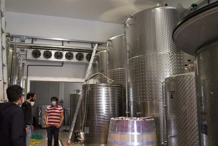 Visita a una bodega de Pozzolengo