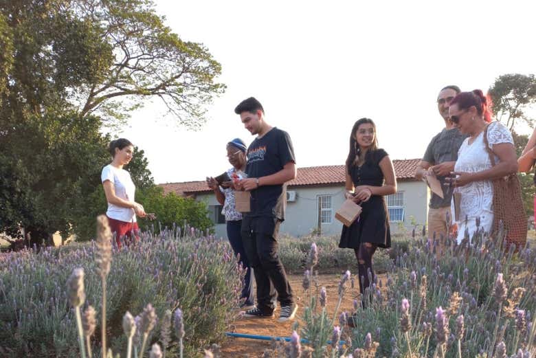Tour privado por Holambra