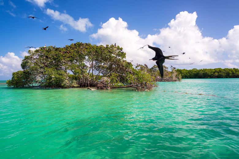 Excursión a Sian Ka'an + Paseo por Muyil