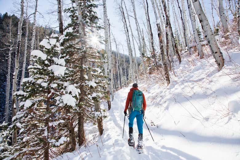 Paseo con raquetas de nieve bajo la aurora boreal