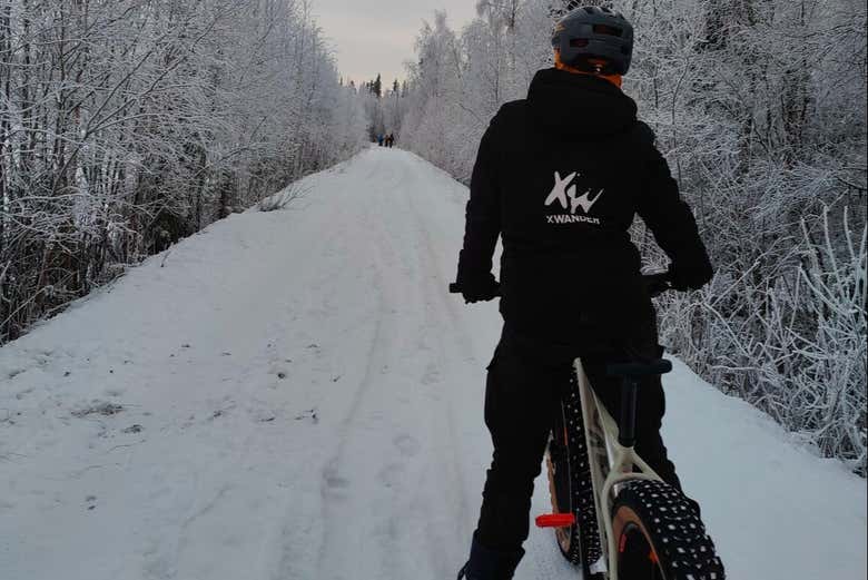 Tour en fat bike por los bosques de Ivalo