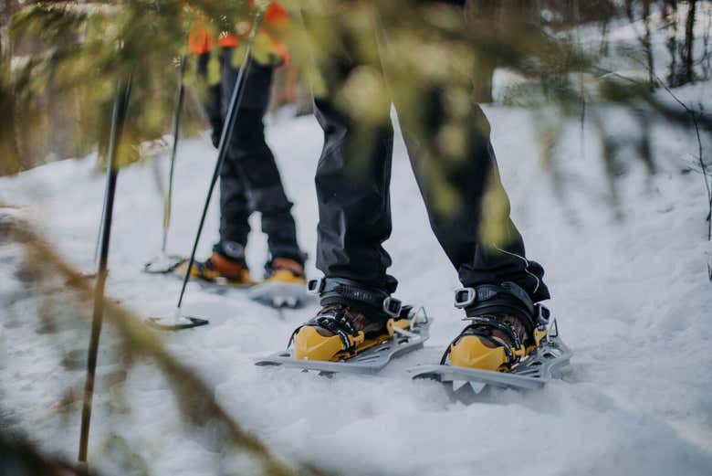 Paseo en raquetas de nieve por Inari
