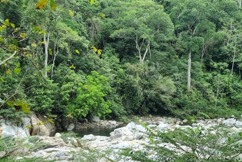 Excursión a la Laguna Encantada - Galería 2
