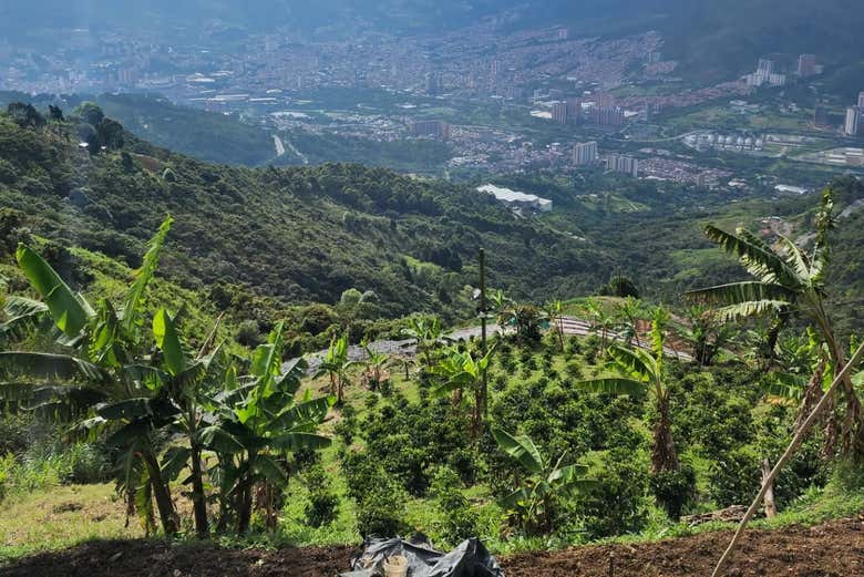 Tour de 2 días por una finca de café con spa