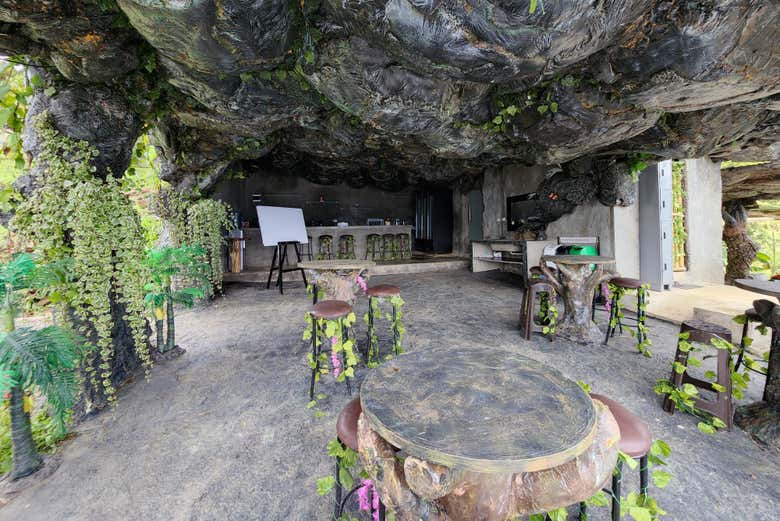 Tour de 2 días por una finca de café con spa