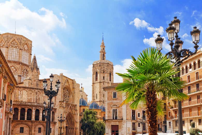Excursión a Valencia + Bioparc - Galería 2