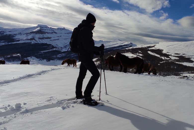 Paseo con raquetas de nieve por los Collados del Asón
