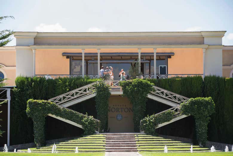 Tour del Malbec por la zona vitivinícola de Luján de Cuyo - Galería 2