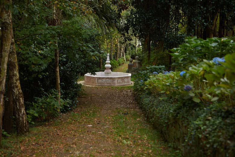 Visita guiada por el Jardín de la Fonte Baxa