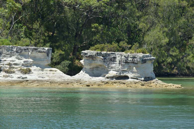Paseo en barco por Jervis Bay