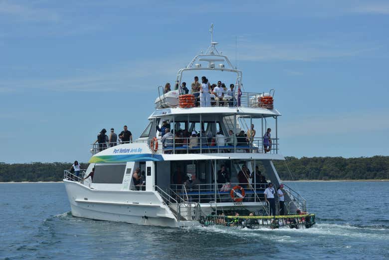Avistamiento de delfines en Jervis Bay