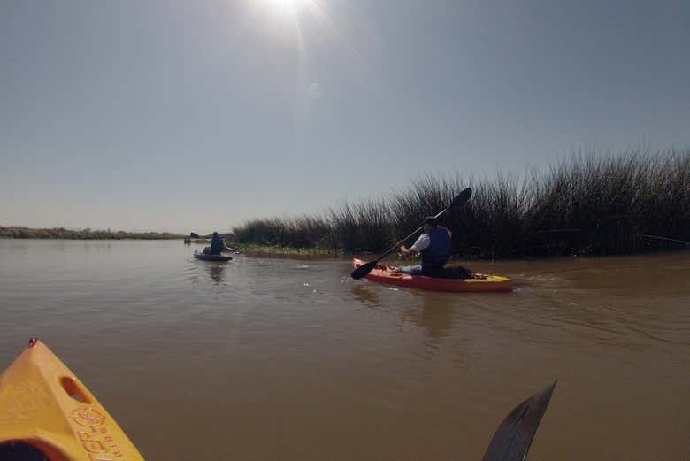 Tour en kayak por el río Tramandaí