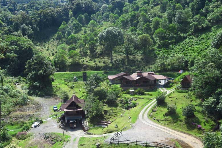 Tirolina en el Parque Nacional La Amistad