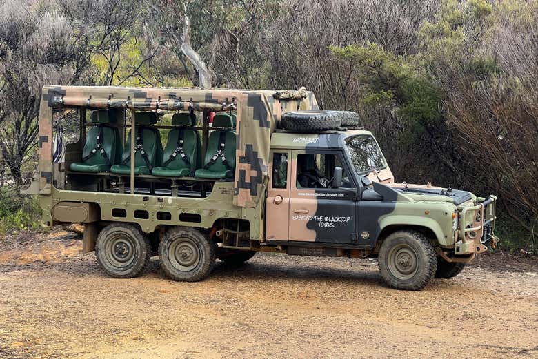 Tour en camión militar por las Montañas Azules
