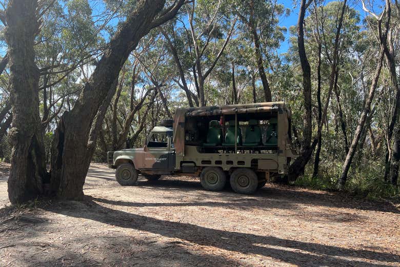 Tour en camión militar por las Montañas Azules