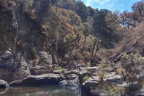 Senderismo por la Sierra de Lobos