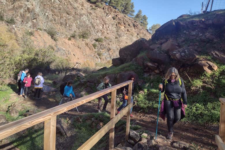 Senderismo por el Parque Nacional Sierra de las Nieves