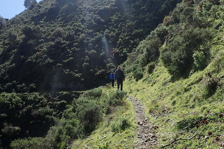 Senderismo por el Parque Nacional Sierra de las Nieves