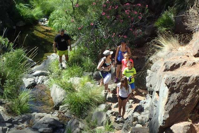 Senderismo por el Parque Nacional Sierra de las Nieves