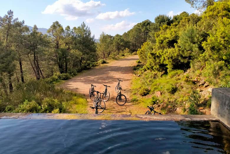 Tour en bicicleta eléctrica por la Sierra de las Nieves