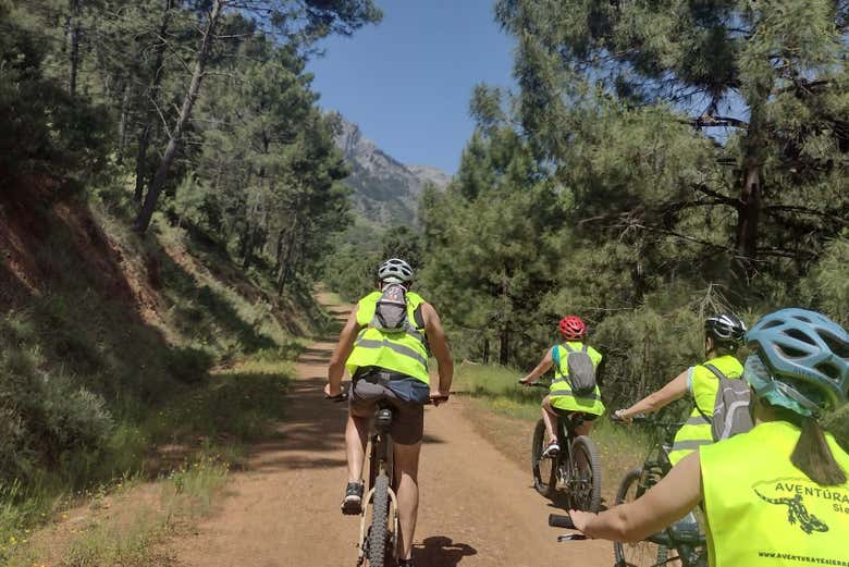 Tour en bicicleta eléctrica por la Sierra de las Nieves