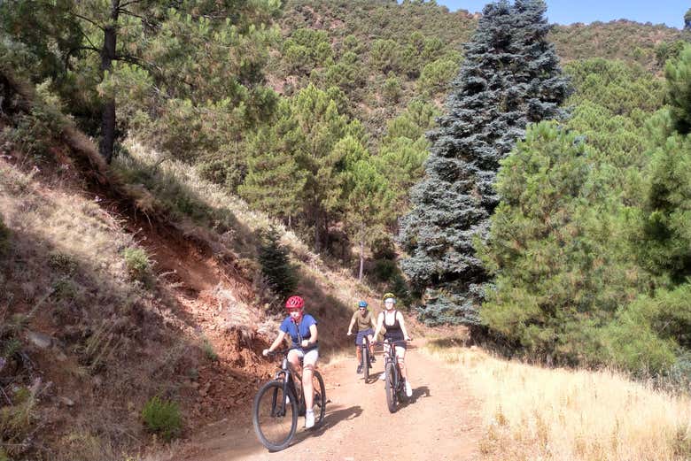 Tour en bicicleta eléctrica por la Sierra de las Nieves
