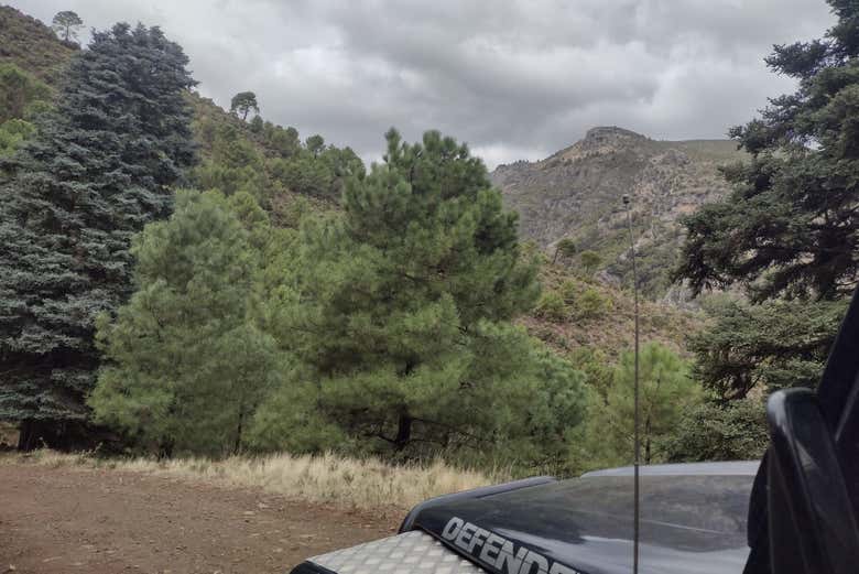 Tour en 4x4 por el Parque Nacional Sierra de las Nieves
