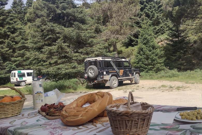 Tour en 4x4 por el Parque Nacional Sierra de las Nieves