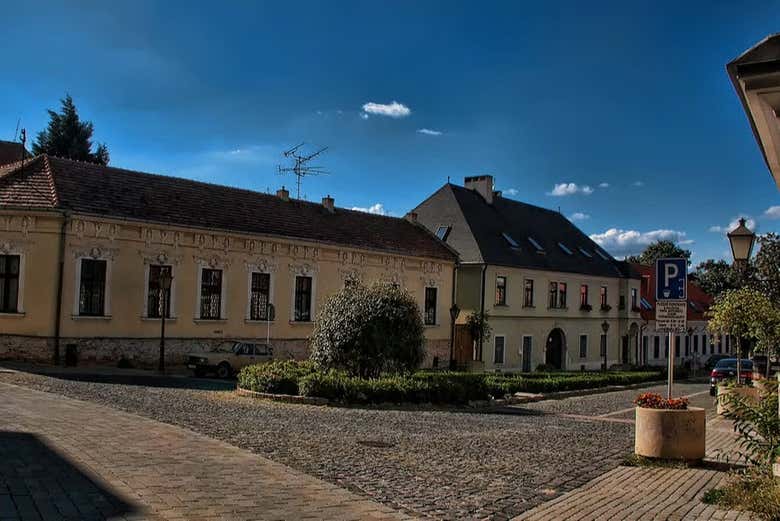 Excursión a Trnava en tren - Galería 2