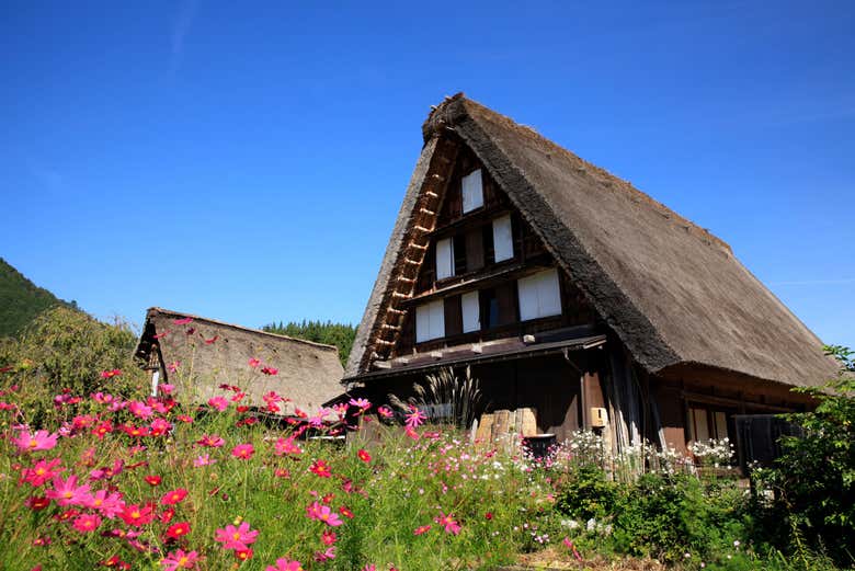 Visita guiada por Shirakawa
