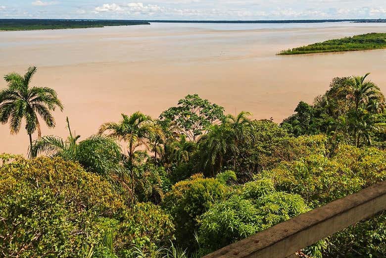 Paseo en barco por los ríos Amazonas e Itaya