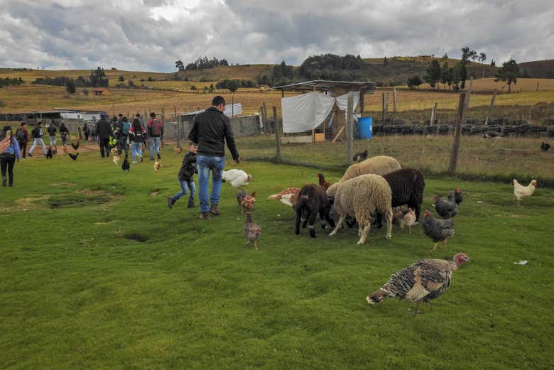 Tour rural y de aventura por Tunja