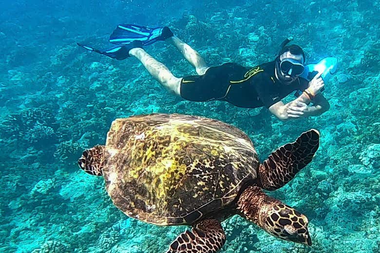 Power snorkel en Tahití