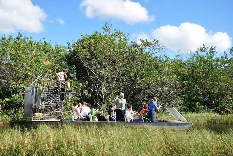 Excursión a los Everglades