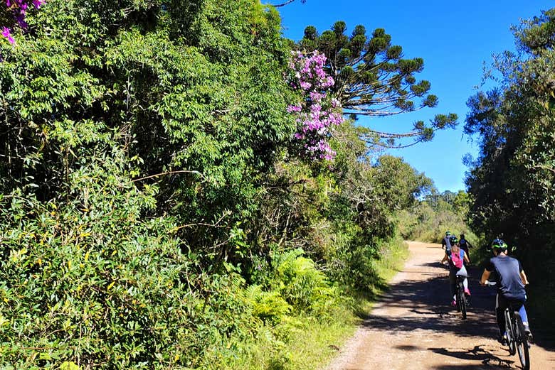Tour en bicicleta por el cañón Fortaleza