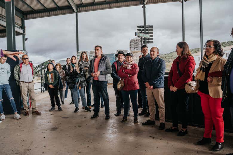 Visita a la almazara San Vicente