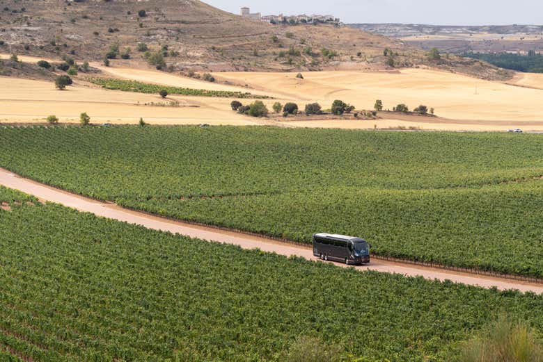 Visita a la bodega Viña Arnáiz
