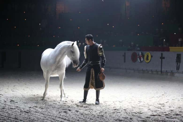 Entrada a Medieval Times Dinner & Tournament