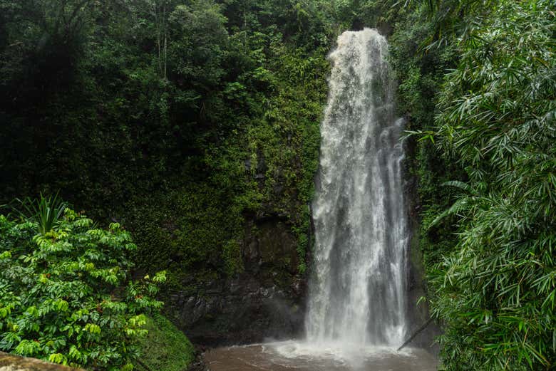 Excursión a Monte Café, cascada de São Nicolau y Jardín Botánico de Bom Sucesso