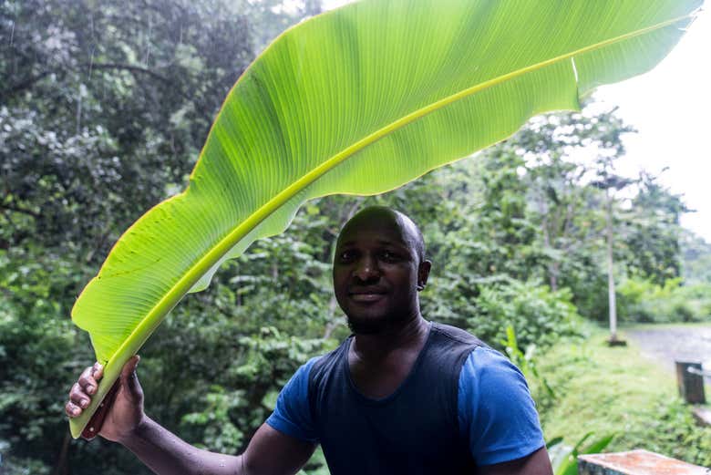 Excursión a Monte Café, cascada de São Nicolau y Jardín Botánico de Bom Sucesso