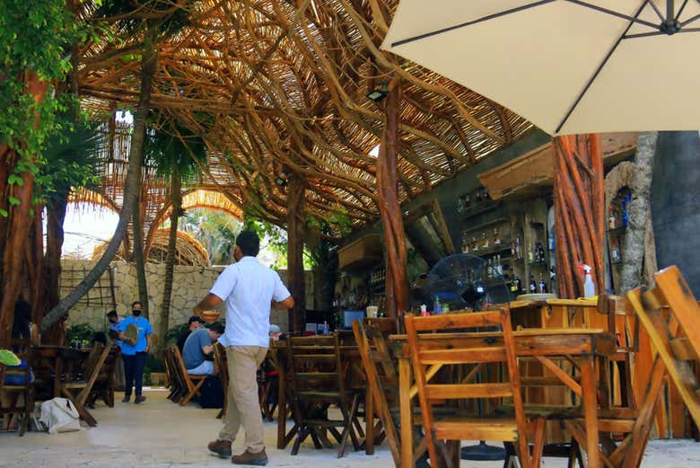 Tour de tacos en Puerto Morelos - Galería 2