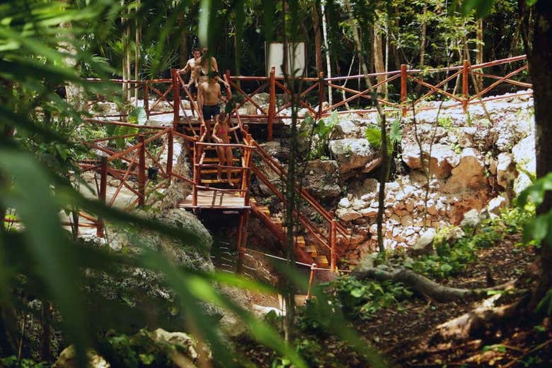 Cenotes en Puerto Morelos + Cata de tequila